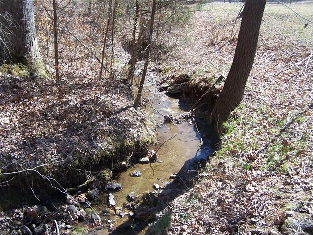 486 Powell School Road Goodspring, TN 38460 - Photo 8 of 12