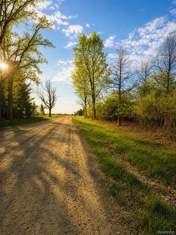 0 Dudley Road Brown City, MI 48416 - Photo 4 of 19