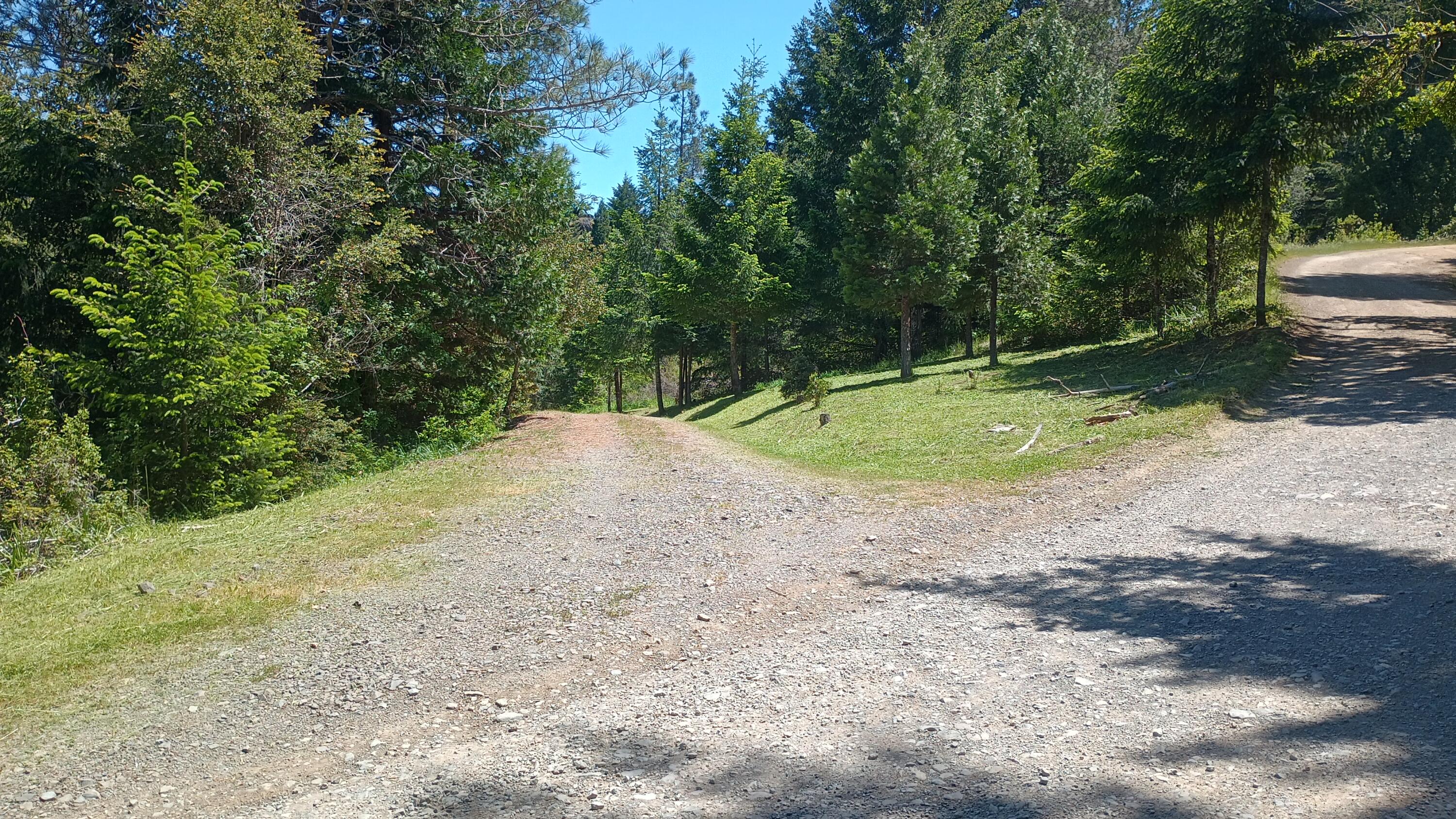 3951 Upper Thomas Early Ranch Road Miranda, CA 95553 - Photo 49 of 57