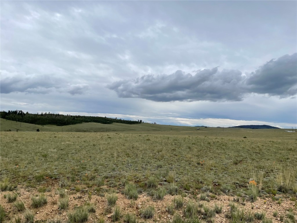 285 Ball Path Como, CO 80432 - Photo 7 of 10 Gallery Image 7