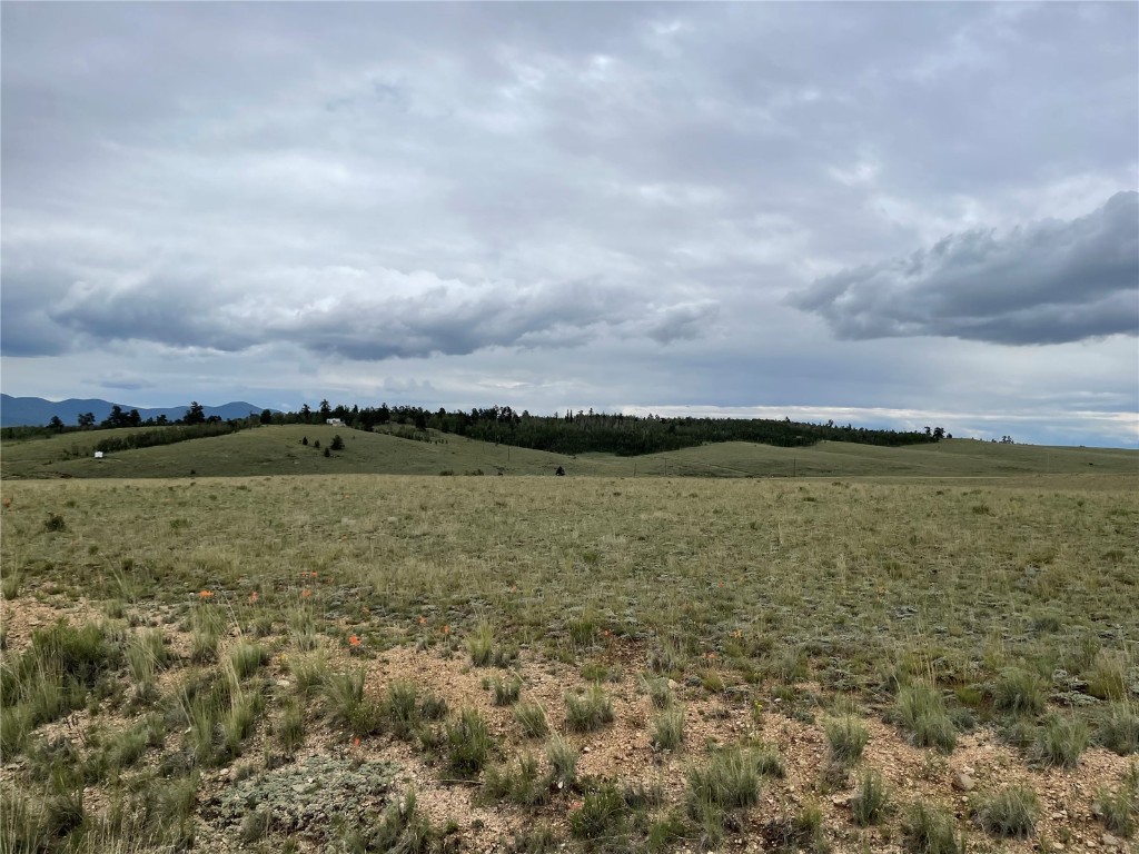 285 Ball Path Como, CO 80432 - Photo 10 of 10 Gallery Image 10
