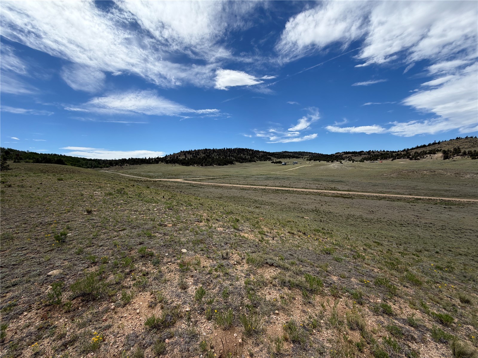 776 Commanche Trail Hartsel, CO 80449 - Photo 14 of 24