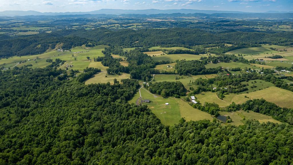 37220 Widener Valley Road Glade Spring, VA 24340 - Photo 45 of 70 86977_108