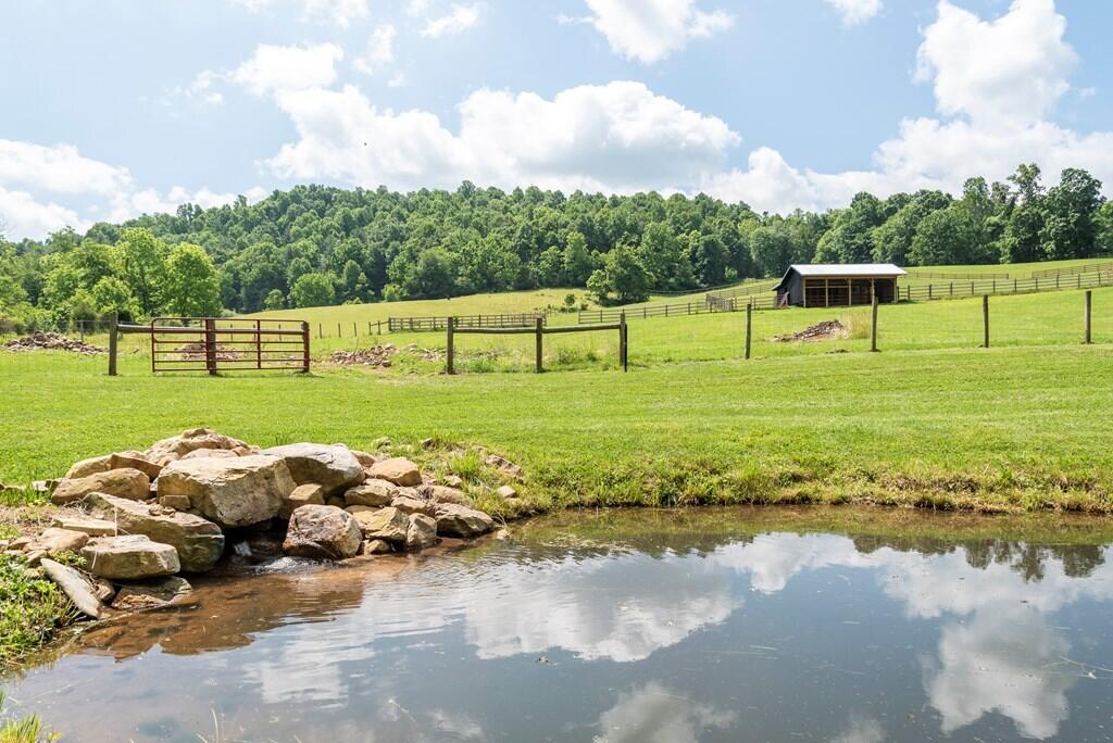 37220 Widener Valley Road Glade Spring, VA 24340 - Photo 48 of 70 86977_8