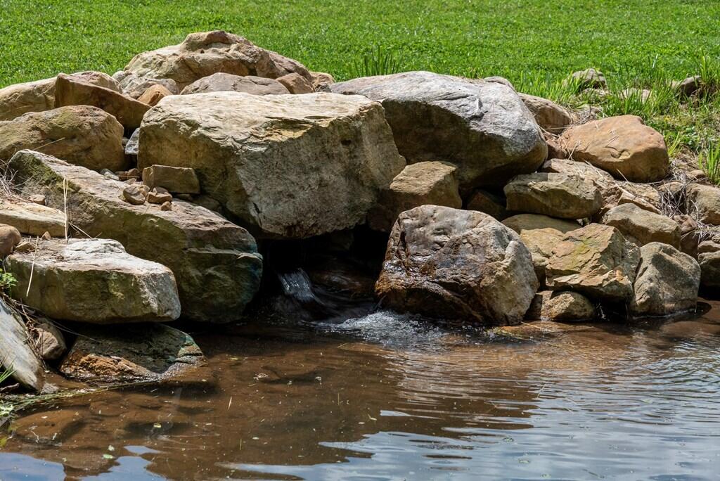 37220 Widener Valley Road Glade Spring, VA 24340 - Photo 49 of 70 86977_9