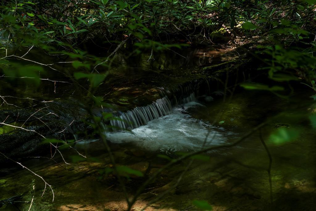 37220 Widener Valley Road Glade Spring, VA 24340 - Photo 54 of 70 86977_114