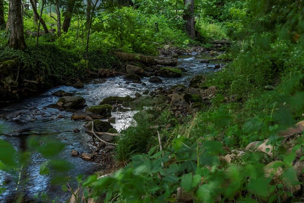 37220 Widener Valley Road Glade Spring, VA 24340 - Photo 55 of 70 86977_100