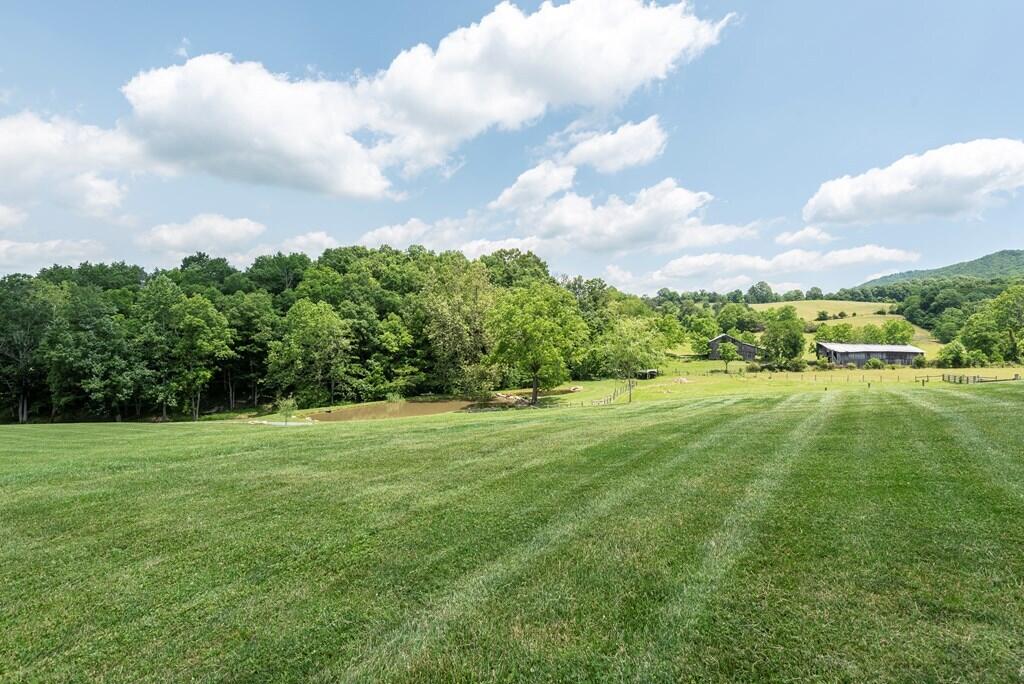 37220 Widener Valley Road Glade Spring, VA 24340 - Photo 63 of 70 86977_39