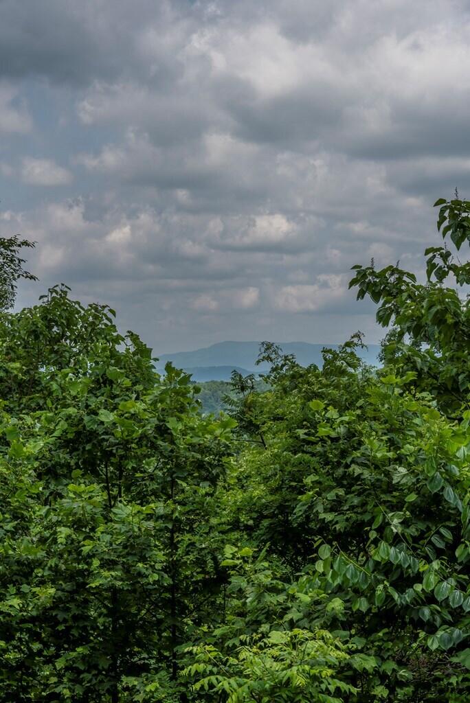 37220 Widener Valley Road Glade Spring, VA 24340 - Photo 66 of 70 86977_32