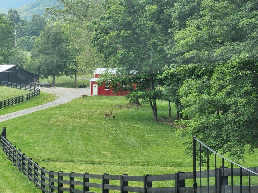 37220 Widener Valley Road Glade Spring, VA 24340 - Photo 67 of 70 86977_83