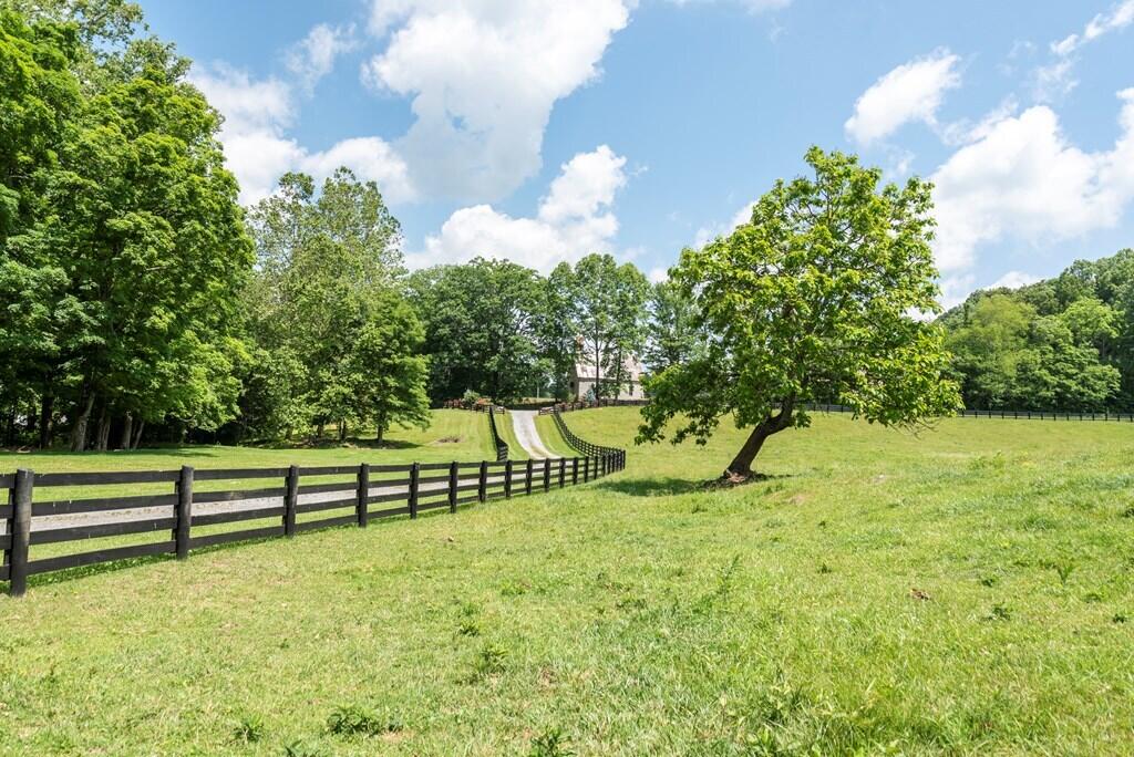 37220 Widener Valley Road Glade Spring, VA 24340 - Photo 69 of 70 86977_26