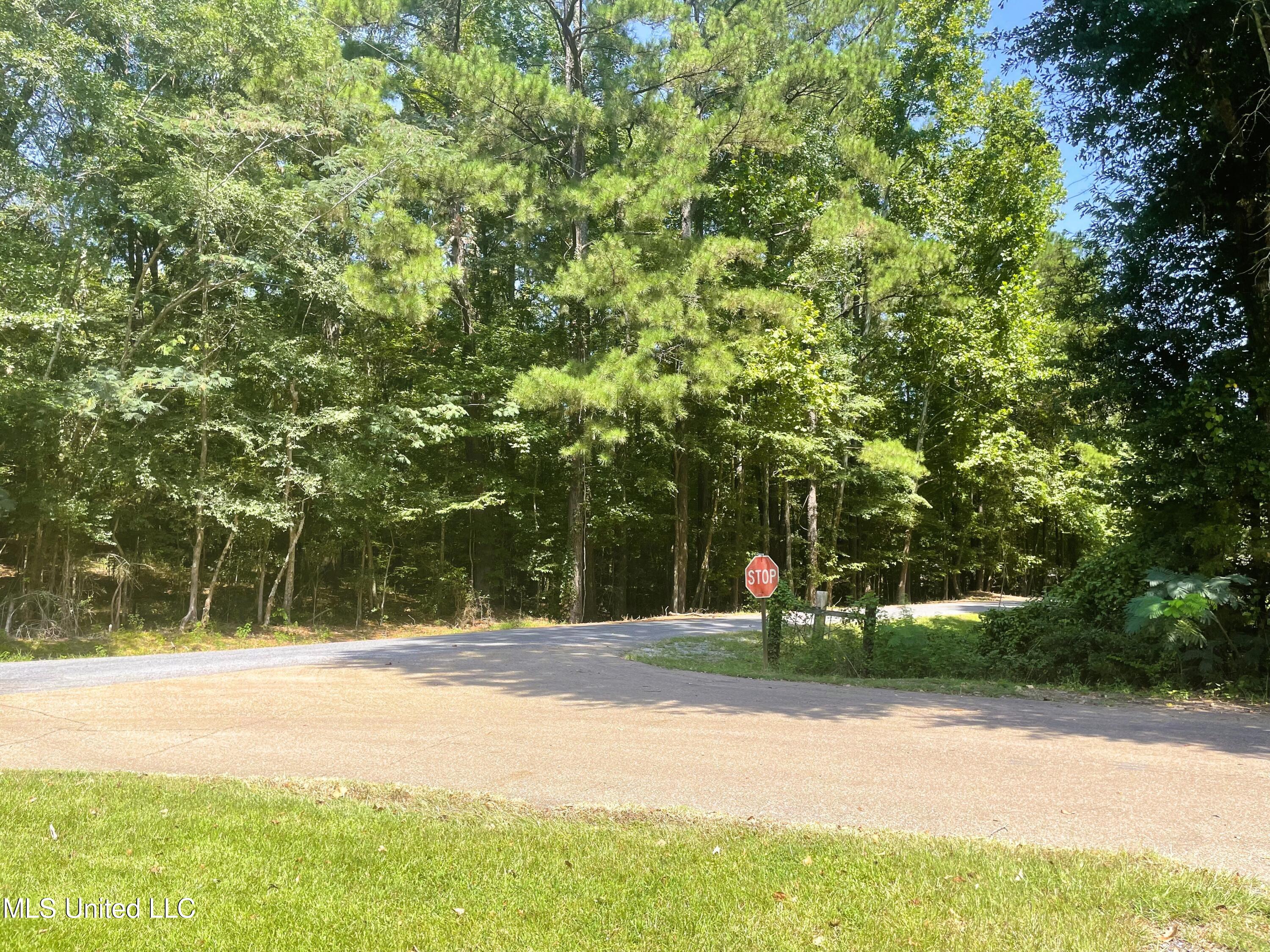 0 Rankin Hills Road Florence, MS 39073 - Photo 13 of 16 74551812817__BCD559ED-94C8-4DF8-96BD-9F5