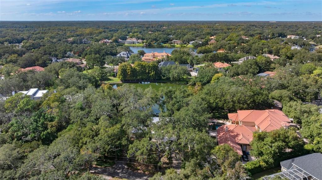 315 Wooten Road Lutz, FL 33548 - Photo 51 of 56