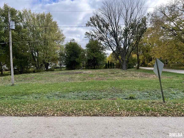 a view of a grassy field with trees in the background
