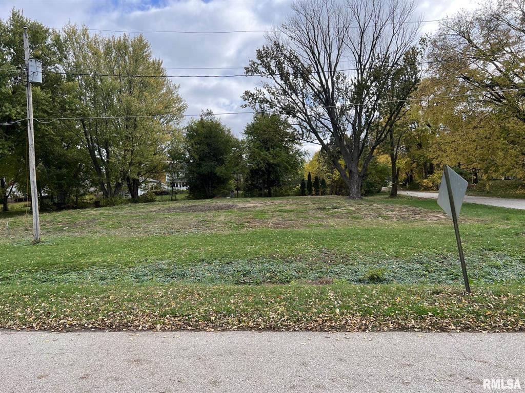 115 8th Street Hampton, IL 61256 - Photo 3 of 5