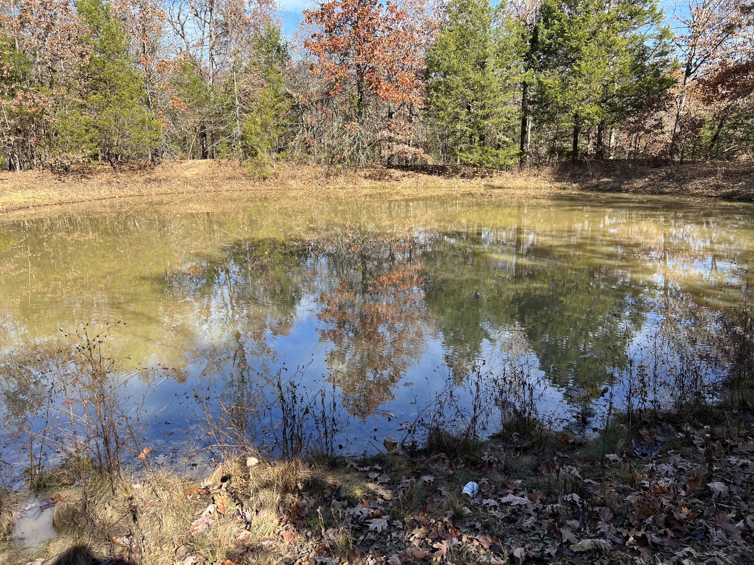 2638 North Camp Creek Road Mammoth Spring, AR 72554 - Photo 1 of 1 Vacant Land