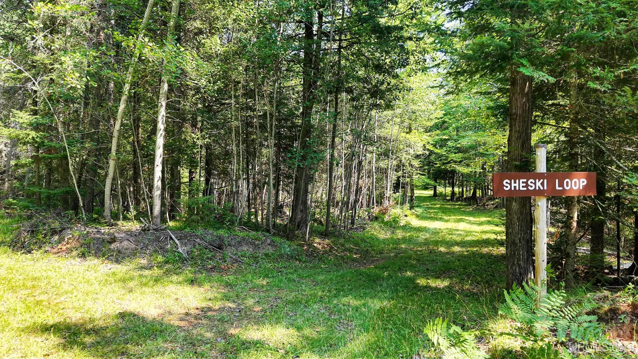 Tbd G Road Escanaba, MI 49829 - Photo 5 of 15 Gallery Image 5