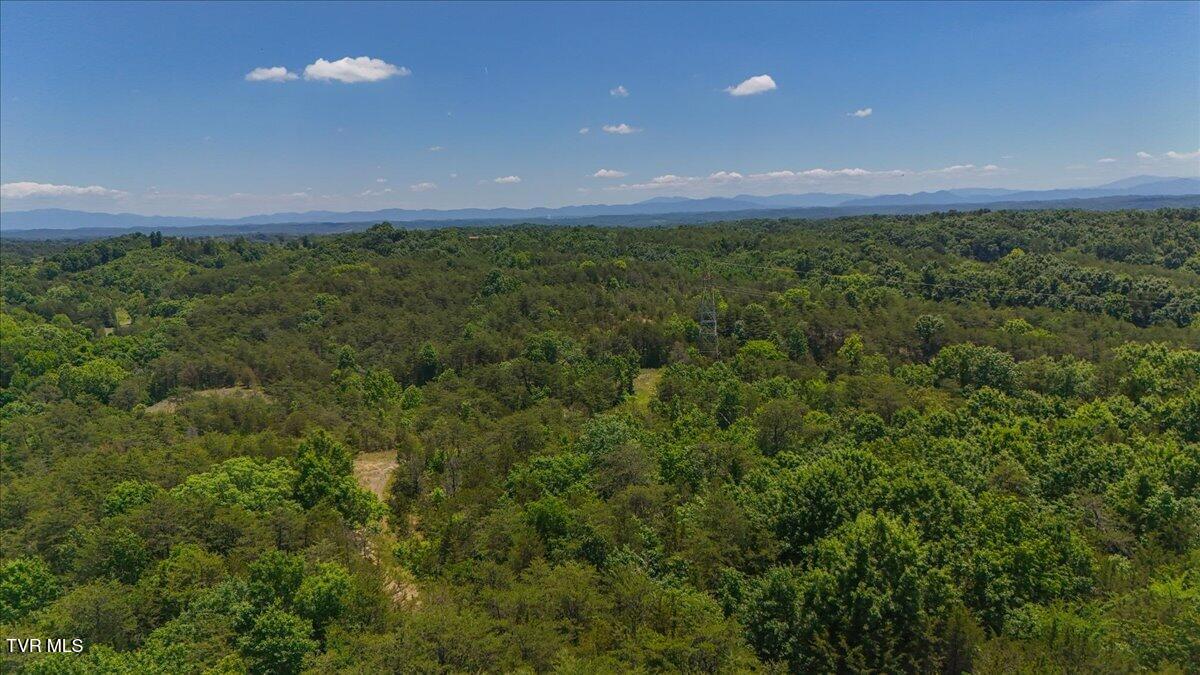 5441 Fred Marshall Road Russellville, TN 37860 - Photo 11 of 20 16-DJI_20260604134432_0932_D