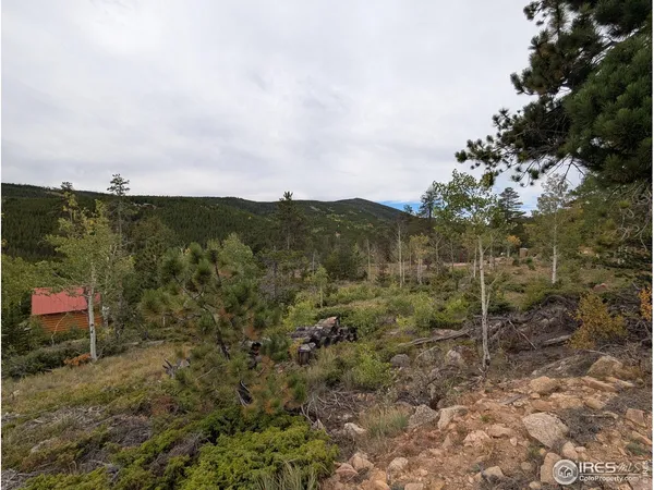 $110,000 | 37 North Oneida Court, Red Feather Lakes, CO 80545