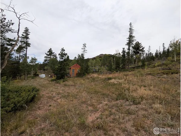 $110,000 | 37 North Oneida Court, Red Feather Lakes, CO 80545