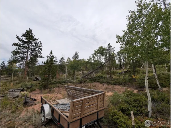 $110,000 | 37 North Oneida Court, Red Feather Lakes, CO 80545