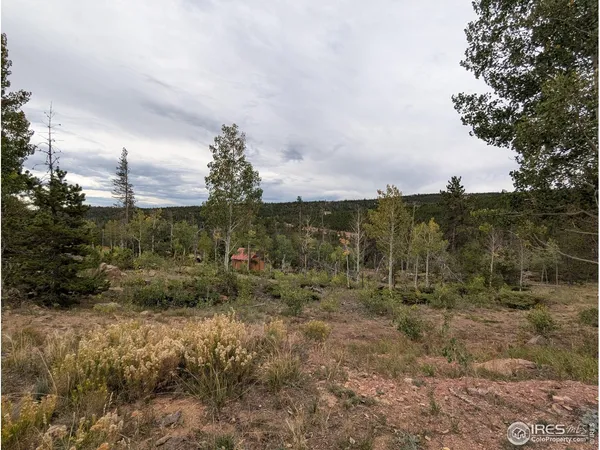 $110,000 | 37 North Oneida Court, Red Feather Lakes, CO 80545