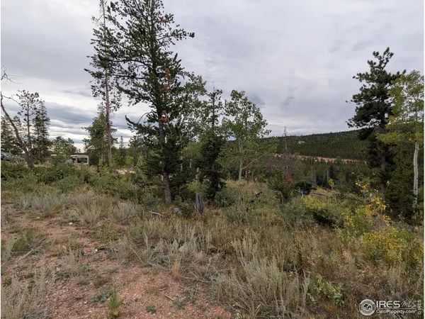 $110,000 | 37 North Oneida Court, Red Feather Lakes, CO 80545