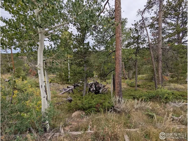 $110,000 | 37 North Oneida Court, Red Feather Lakes, CO 80545