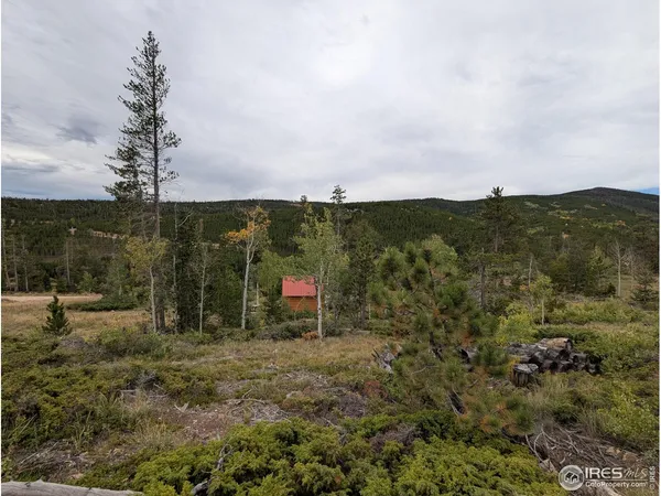 $110,000 | 37 North Oneida Court, Red Feather Lakes, CO 80545