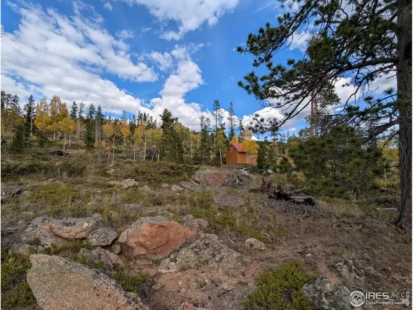 $110,000 | 37 North Oneida Court, Red Feather Lakes, CO 80545