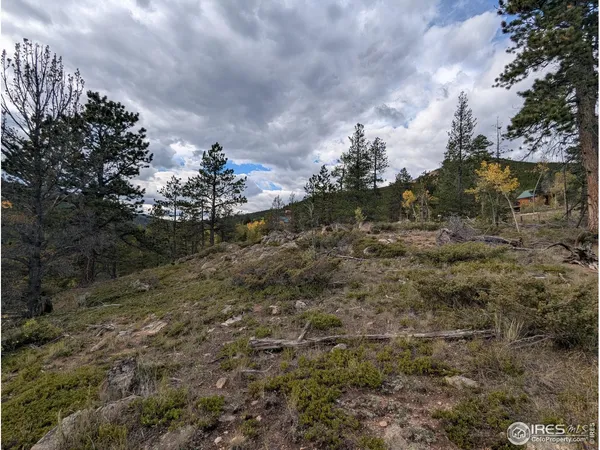 $110,000 | 37 North Oneida Court, Red Feather Lakes, CO 80545