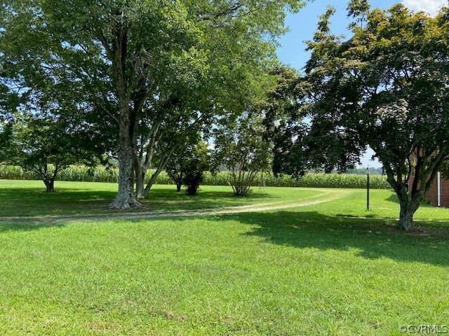 11370 Hanover Courthouse Road Hanover, VA 23069 - Photo 4 of 37 a view of a park with trees and grass