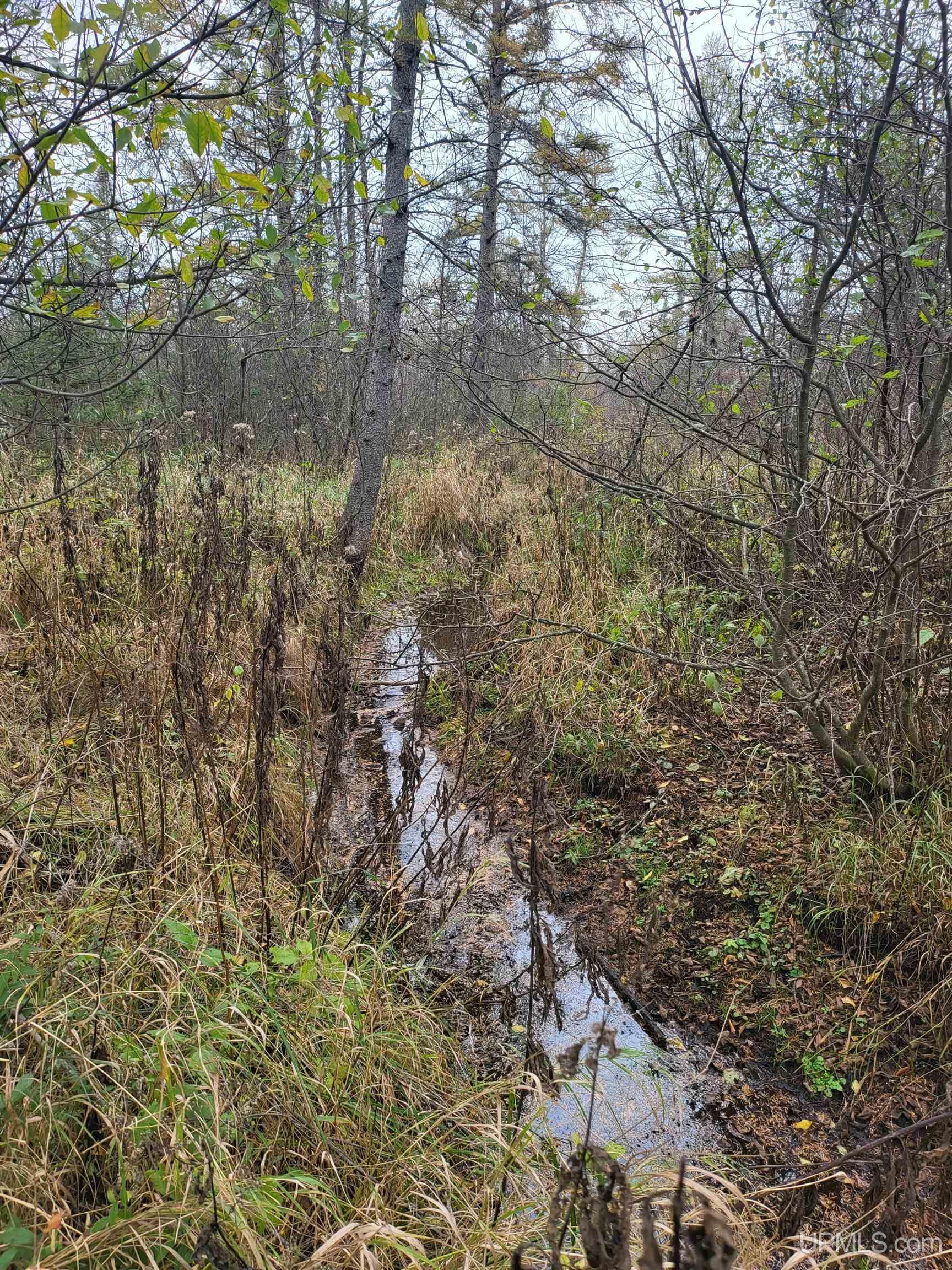 Tbd Airport Road Rock, MI 49880 - Photo 9 of 13