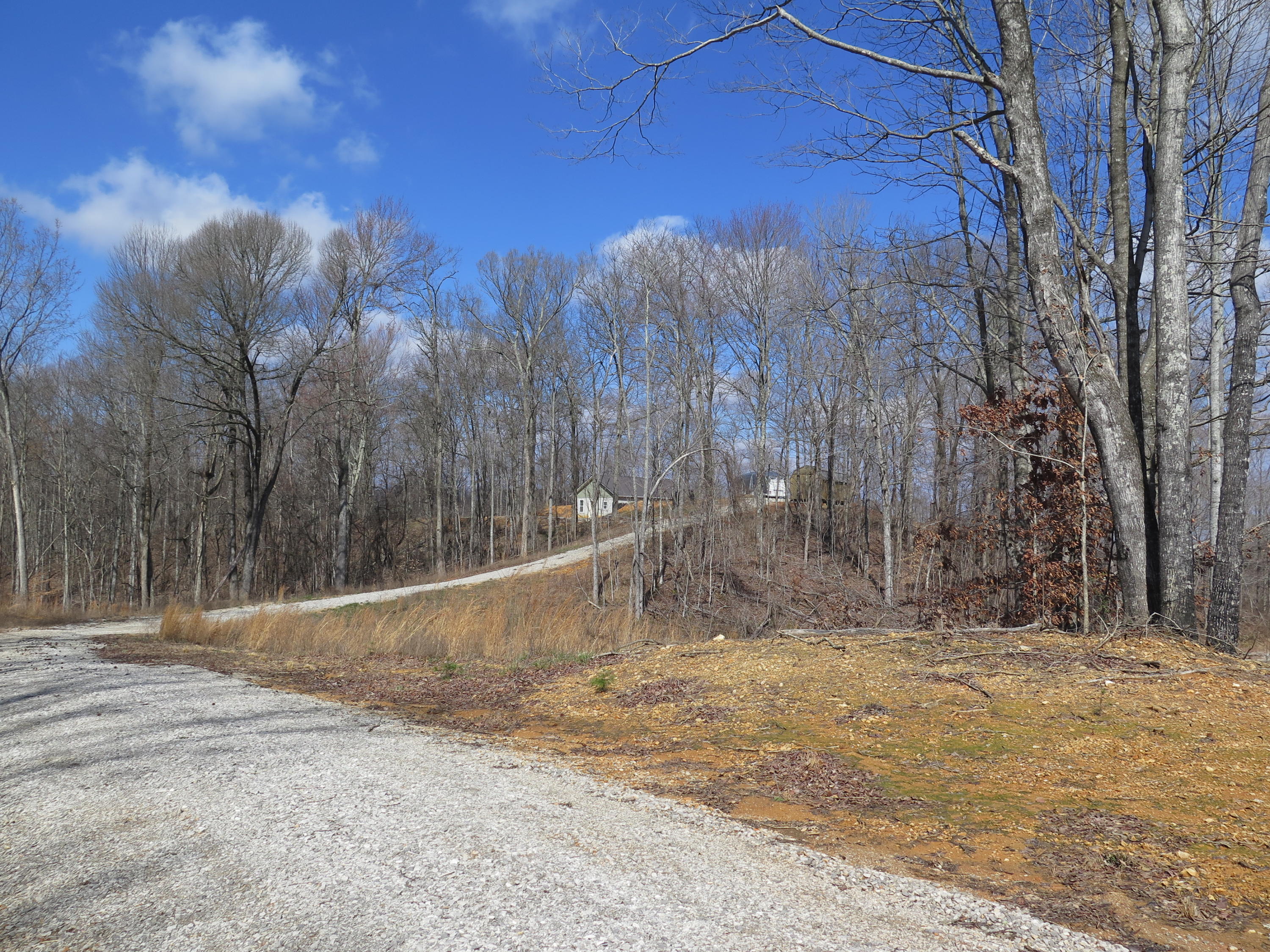 460 Turkey Town Road Hilham, TN 38568 - Photo 14 of 36 IMG_0360