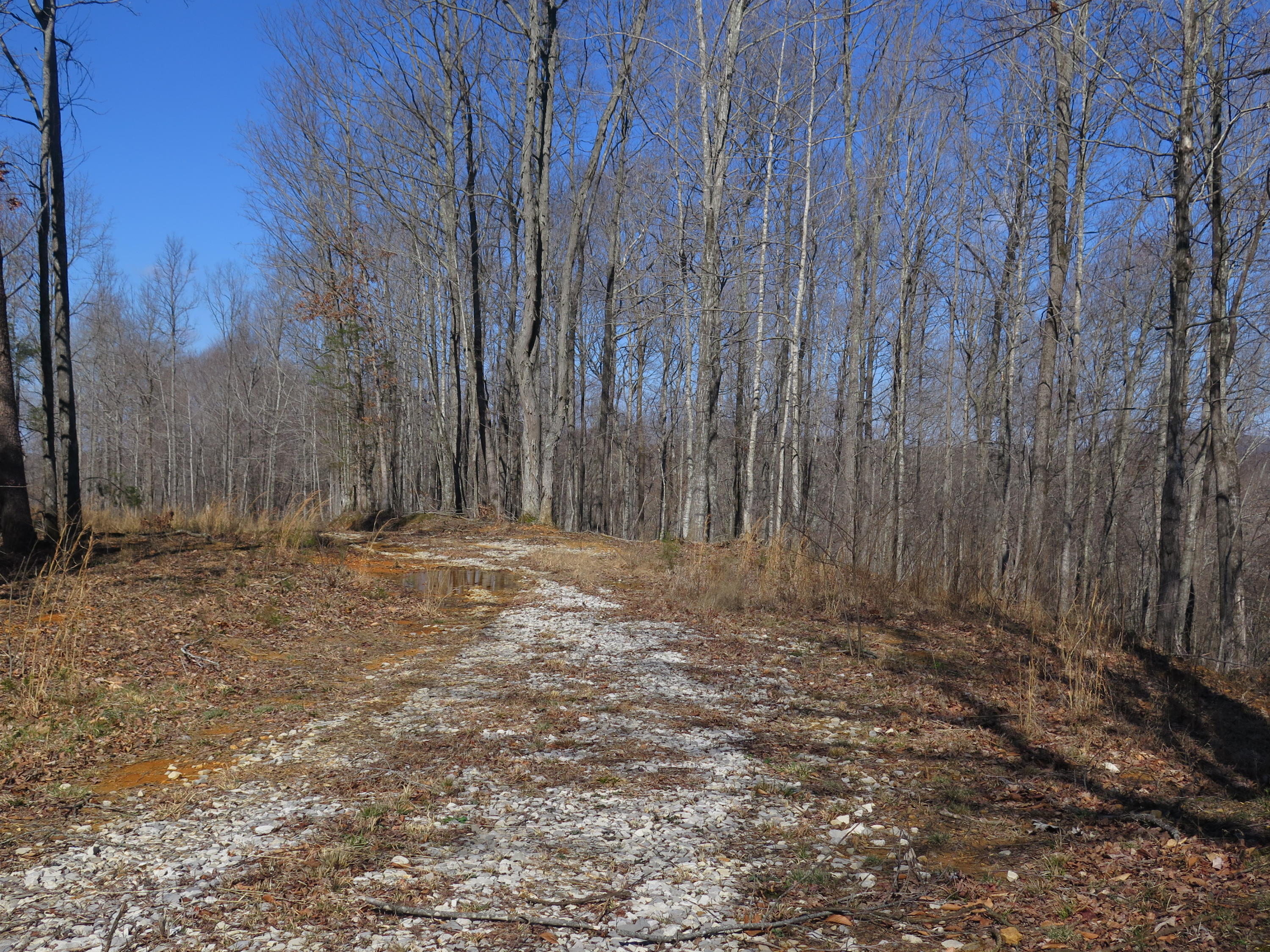 460 Turkey Town Road Hilham, TN 38568 - Photo 22 of 36 IMG_0457
