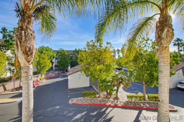a view of balcony with a potted plant