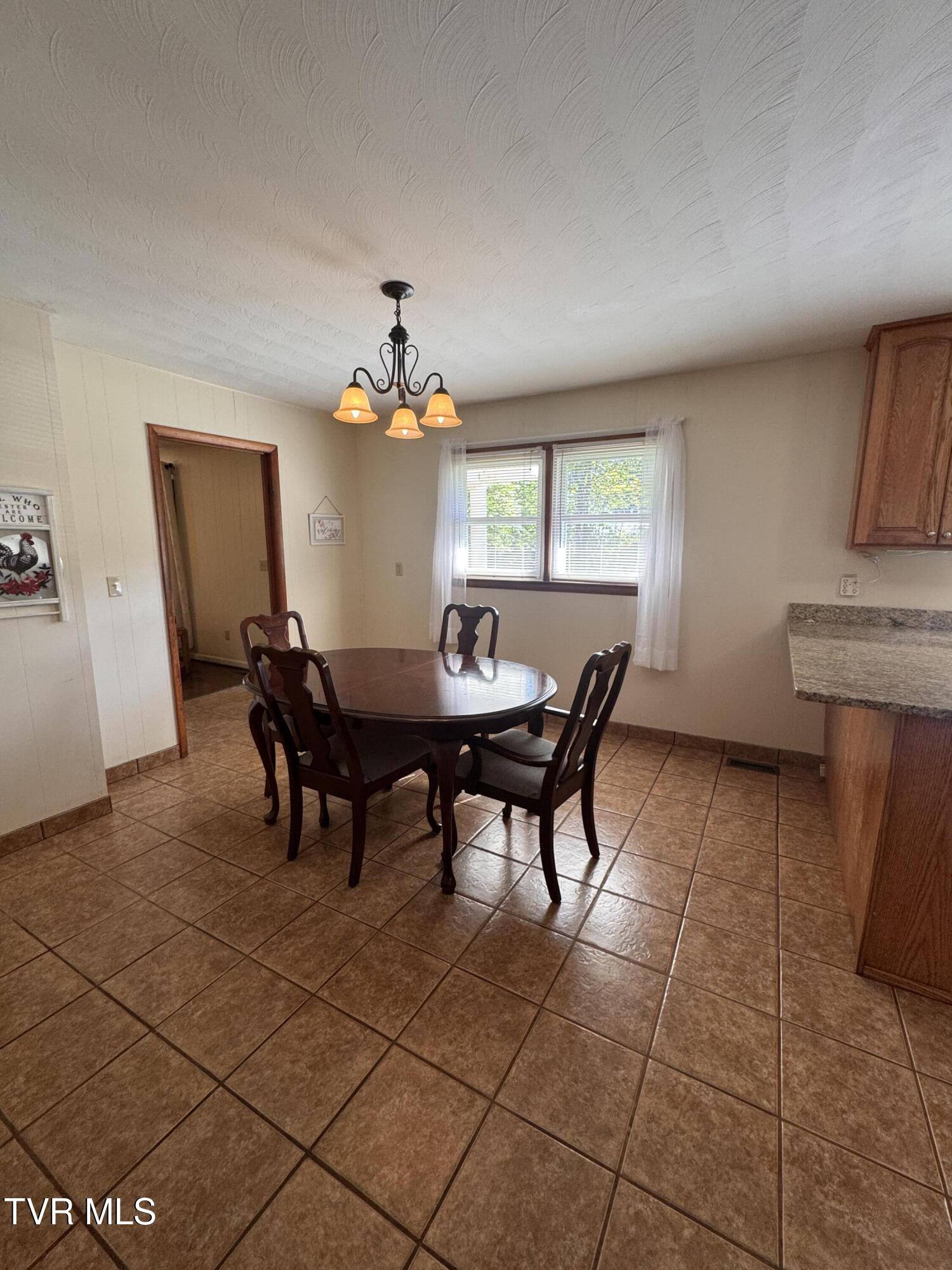 248 Burbank Road Roan Mountain, TN 37687 - Photo 24 of 65 IMG_6042