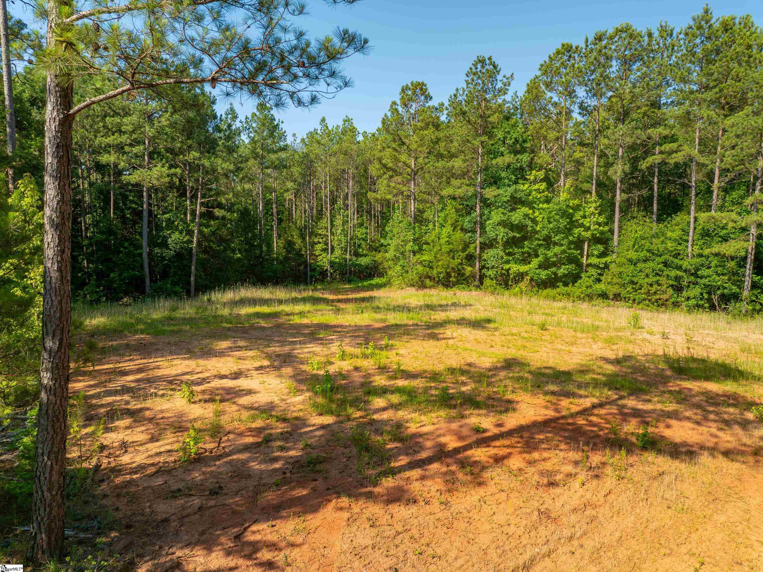 1332 Arnold Lane Waterloo, SC 29384 - Photo 40 of 40