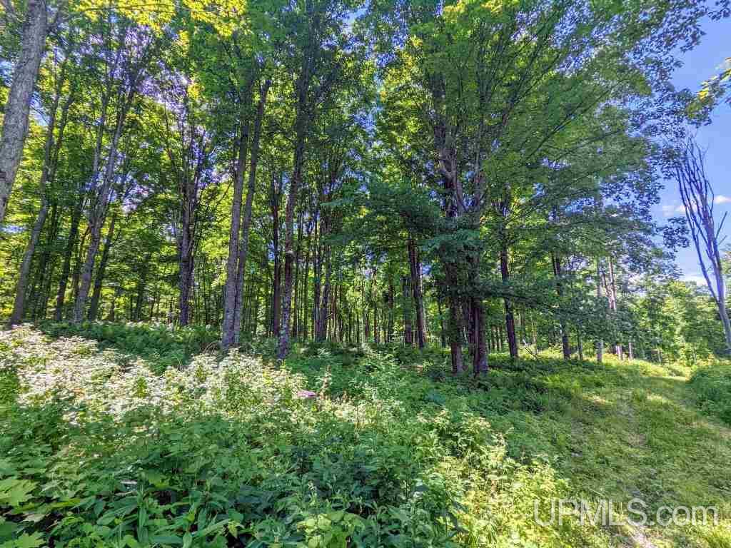 233 Reiman Road Iron River, MI 49935 - Photo 5 of 13