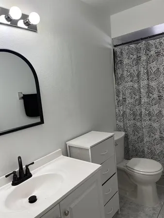 a bathroom with a sink a toilet and mirror