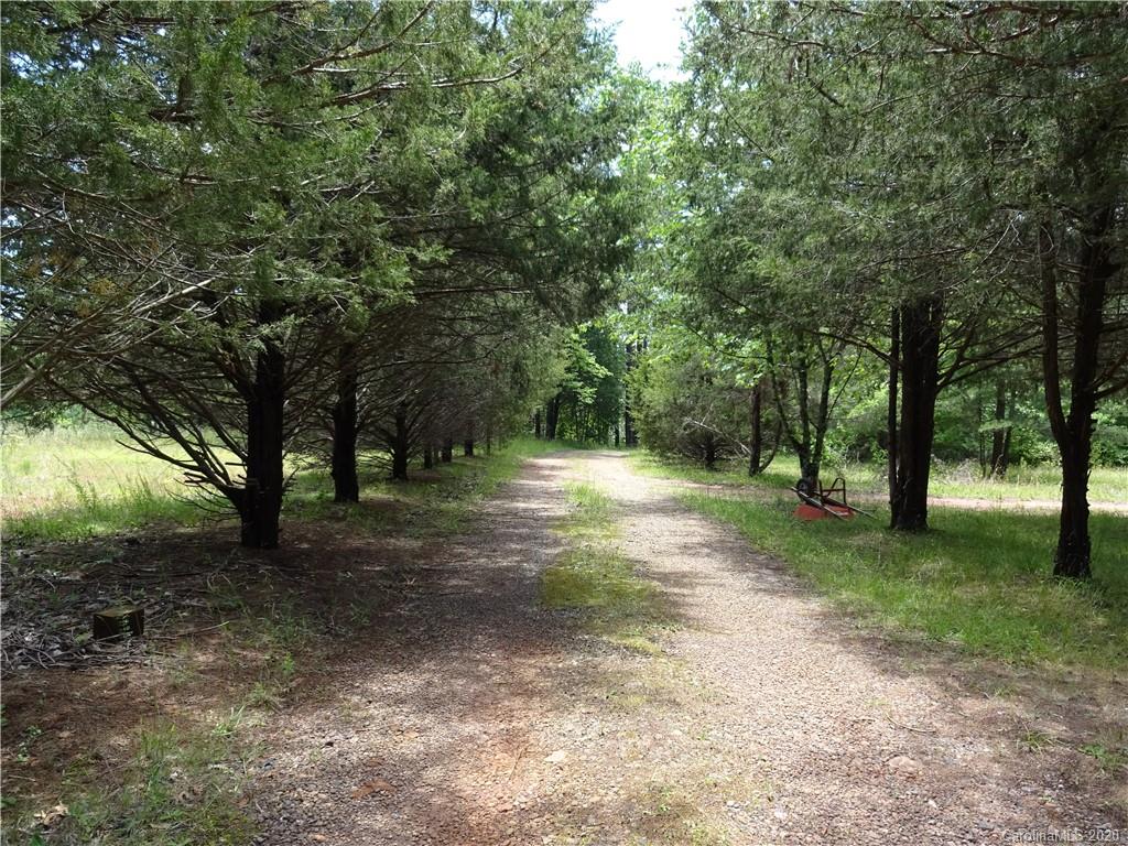 1497 Sandy Plains Road Tryon, NC 28782 - Photo 1 of 6 a view of a forest with trees in the background