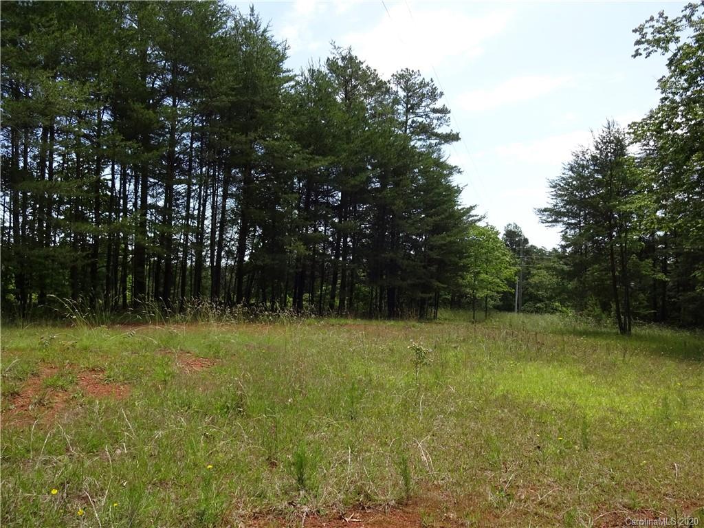 1497 Sandy Plains Road Tryon, NC 28782 - Photo 3 of 6 a view of backyard with green space