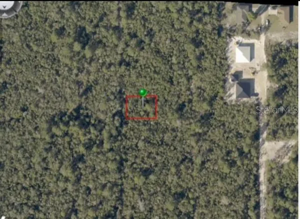 a close up of a wall with a tree