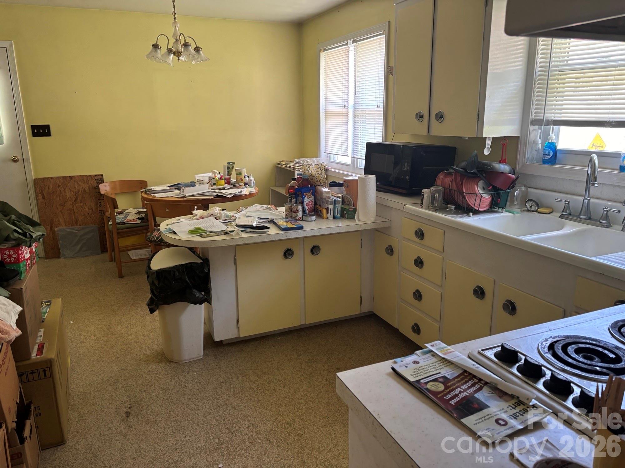 637 Toe Cane Road Bakersville, NC 28705 - Photo 5 of 10