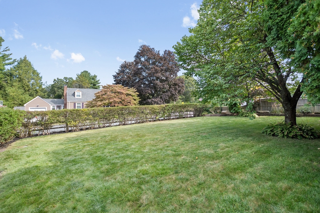 2 Lodge Road Natick, MA 01760 - Photo 35 of 36 a view of a field with large trees