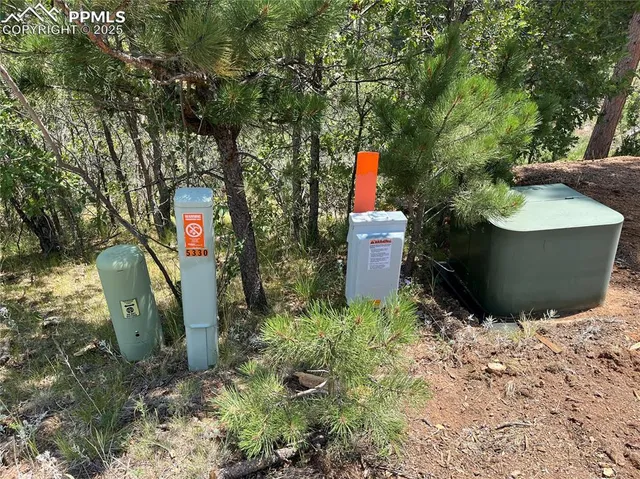 a view of a fire pit with large trees