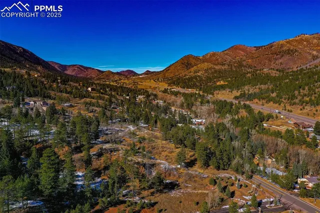 a view of a lot of trees in a city