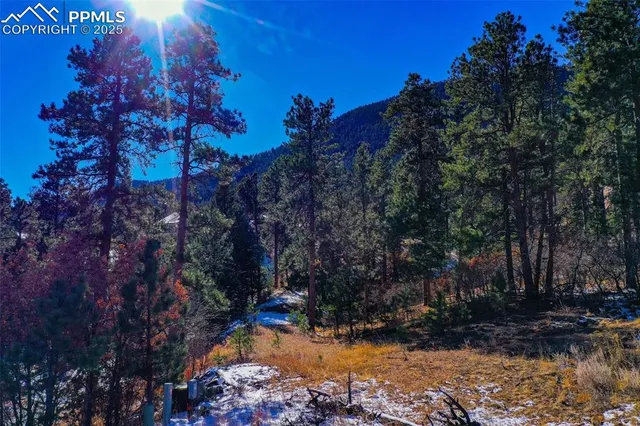 a view of a backyard of the house