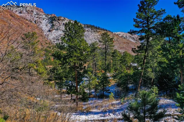 a view of a yard with plants and a building