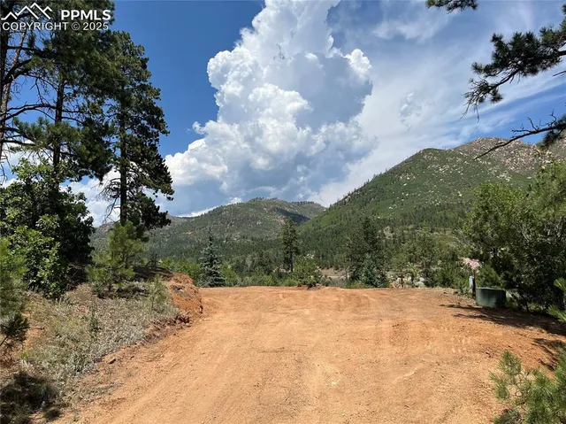 a view of a yard with a tree